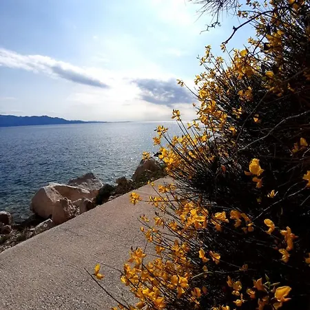 Apartament Iva Podaca